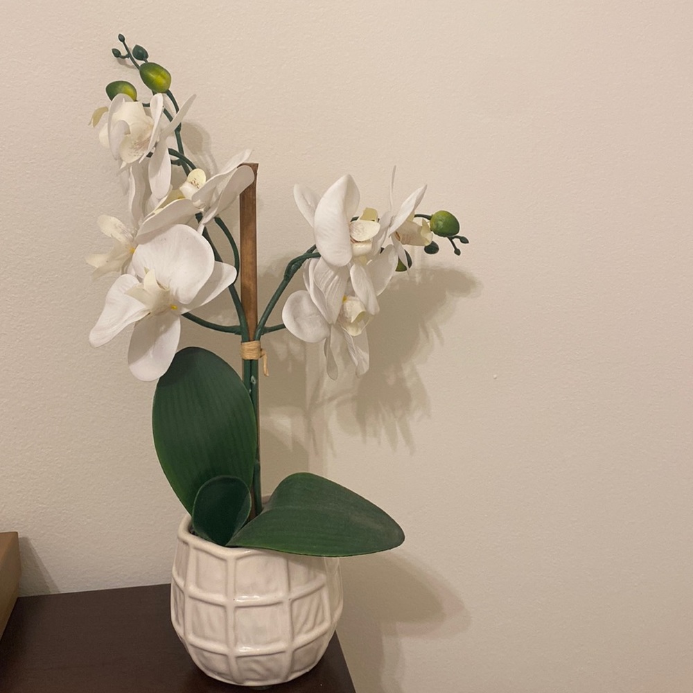 Ceramic Beautiful White Faux Orchid